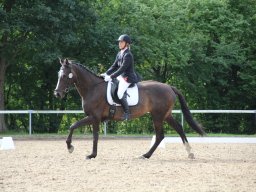 IMG_0706_web